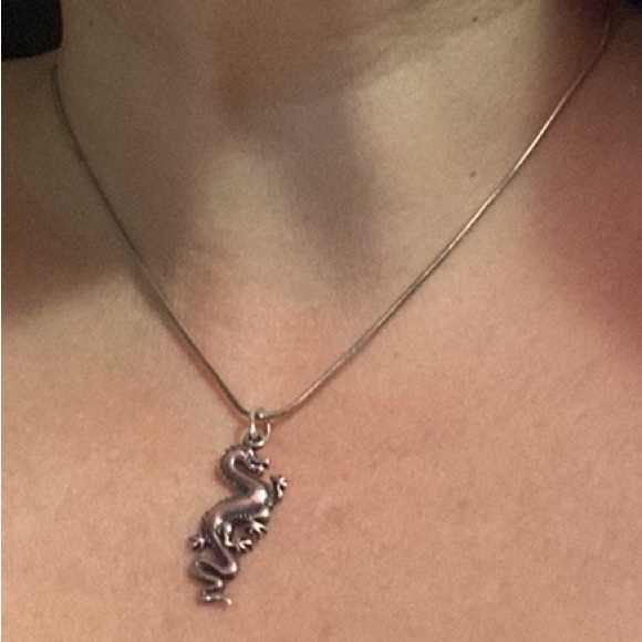 Neon Riot double dragon🐉pants 2XL+925 Italy🐲necklace 16” - Picture 7 of 15